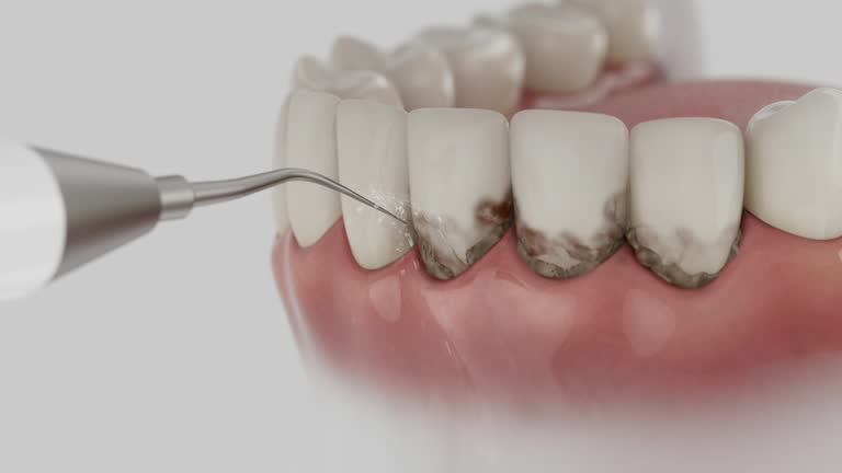 Reliable Dental contractor in Carrollton, IL by Dentist Open Now